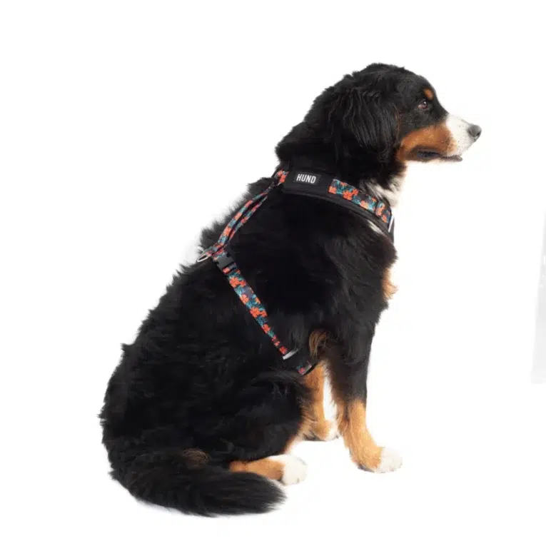 ARNES-HUND-TRASH-PERSONALIZABLE.2