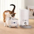 FUENTE PIXI SMART CATIT