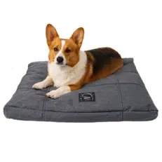 COLCHONETA LINEA CHIC IMPERMEABLE PER-ROS