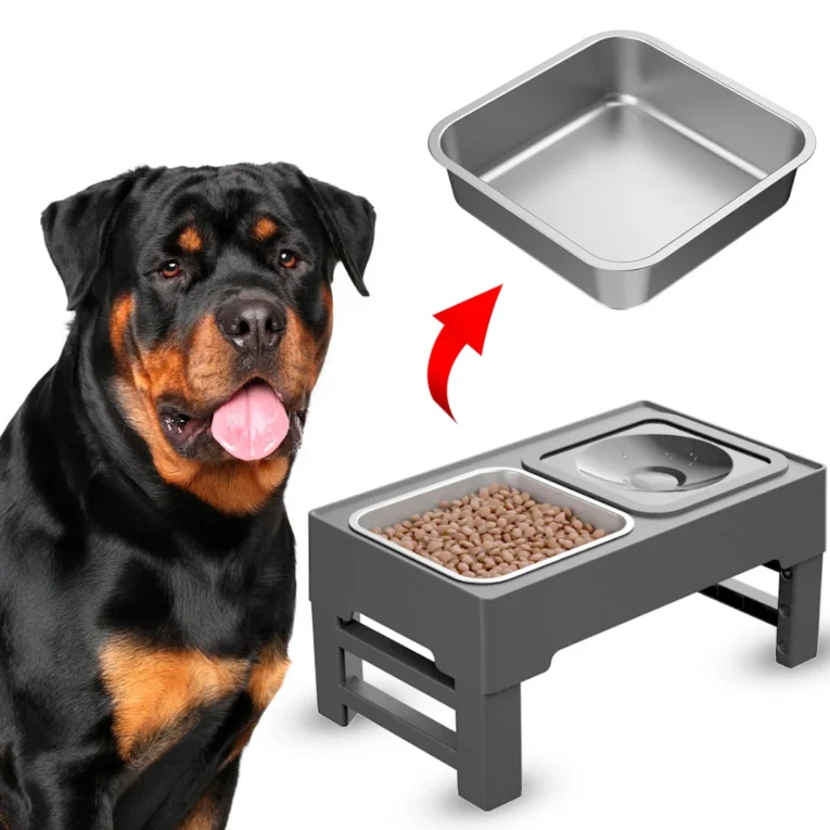 COMEDERO BEEPEX BOWL-E CON ALTURA AJUSTABLE1