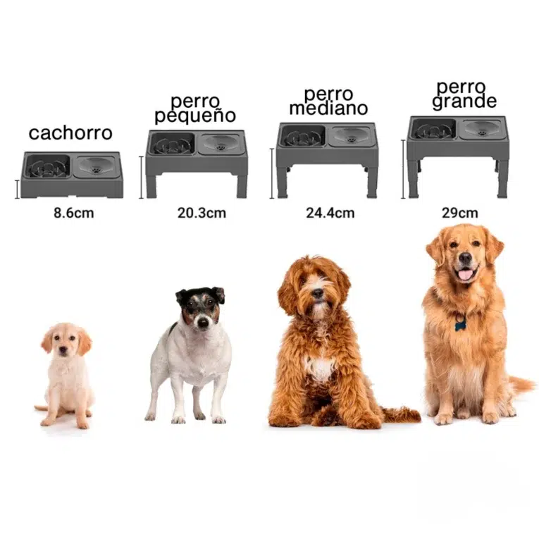 COMELENTO-BEEPEX-SLOW-E-CON-ALTURA-AJUSTABLE3