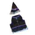CONJUNTO DE BRUJA PER-ROS