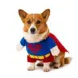 DISFRAZ SUPERMAN PER-ROS