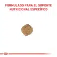 ROYAL CANIN GASTROINTESTINAL LOW FAT 1,5KG