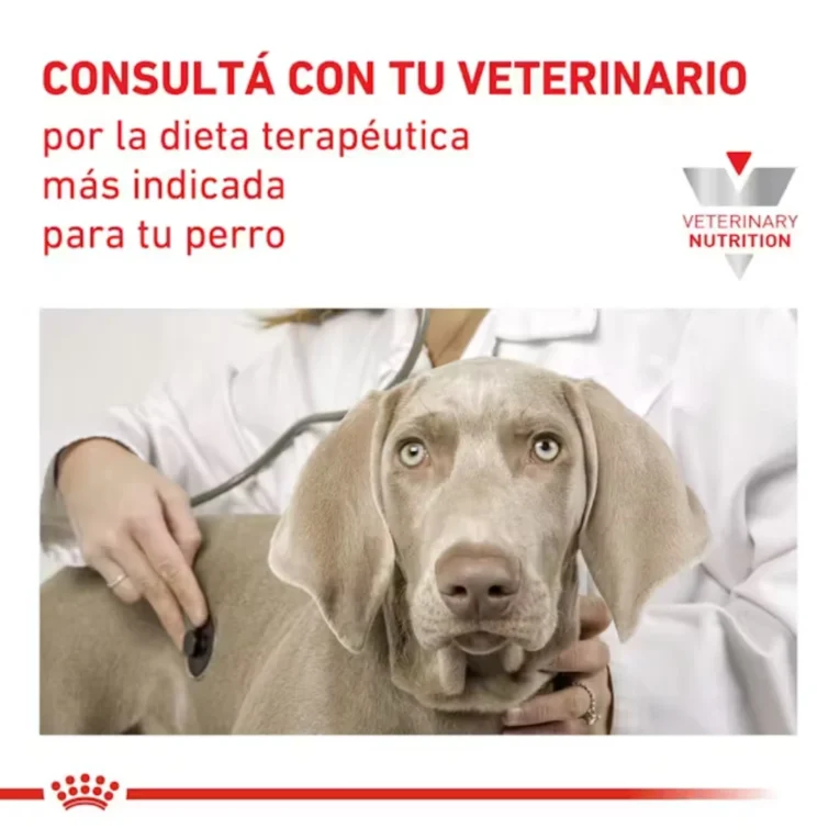 ROYAL CANIN GASTROINTESTINAL LOW FAT 1,5KG3