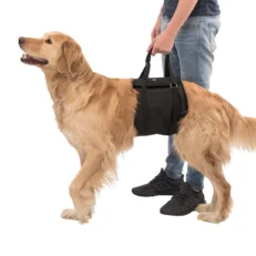 ARNES DE ELEVACION TRIXIE