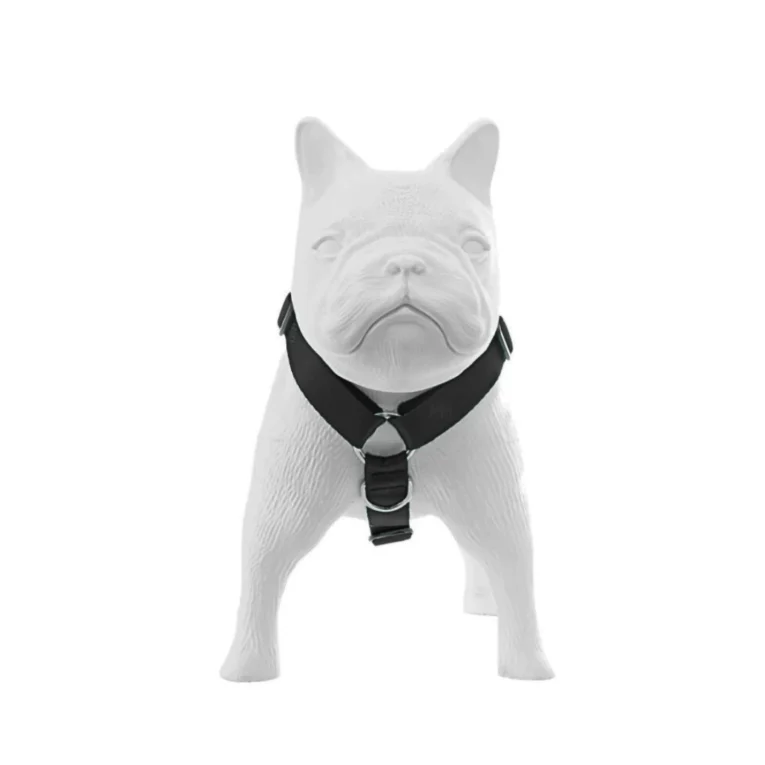 ARNES HUND CROMA NEGRO EN «H»