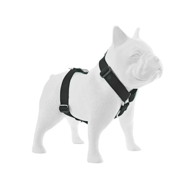 ARNES HUND CROMA NEGRO EN «H»1