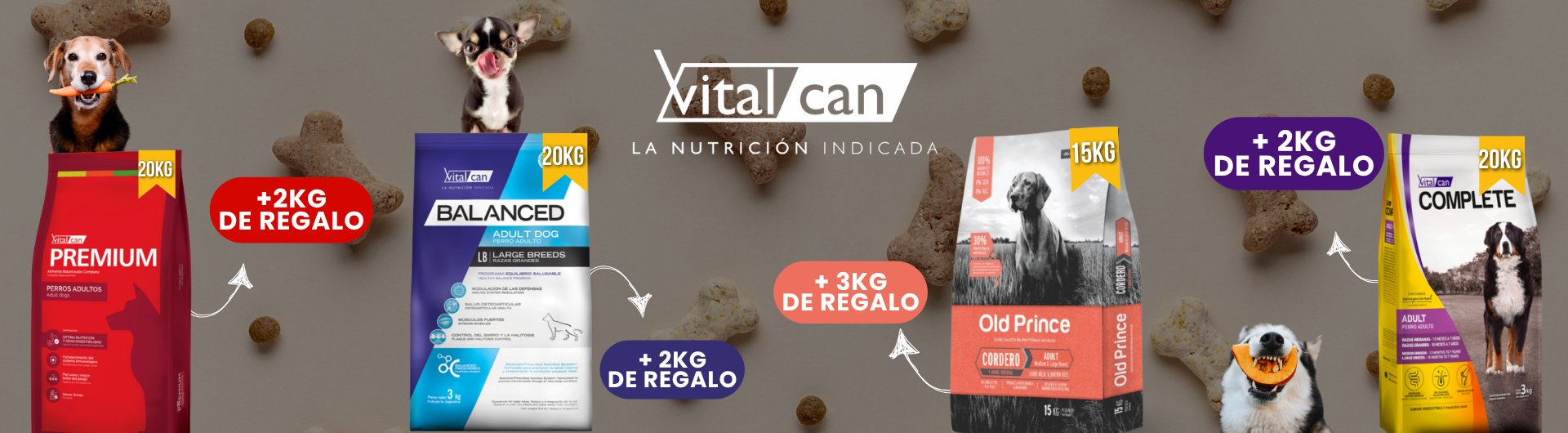 BANNER WEB 2025 (10)