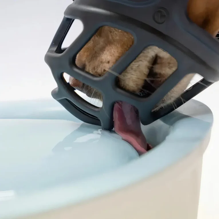 BOZAL ALPHA BY ZEUS5