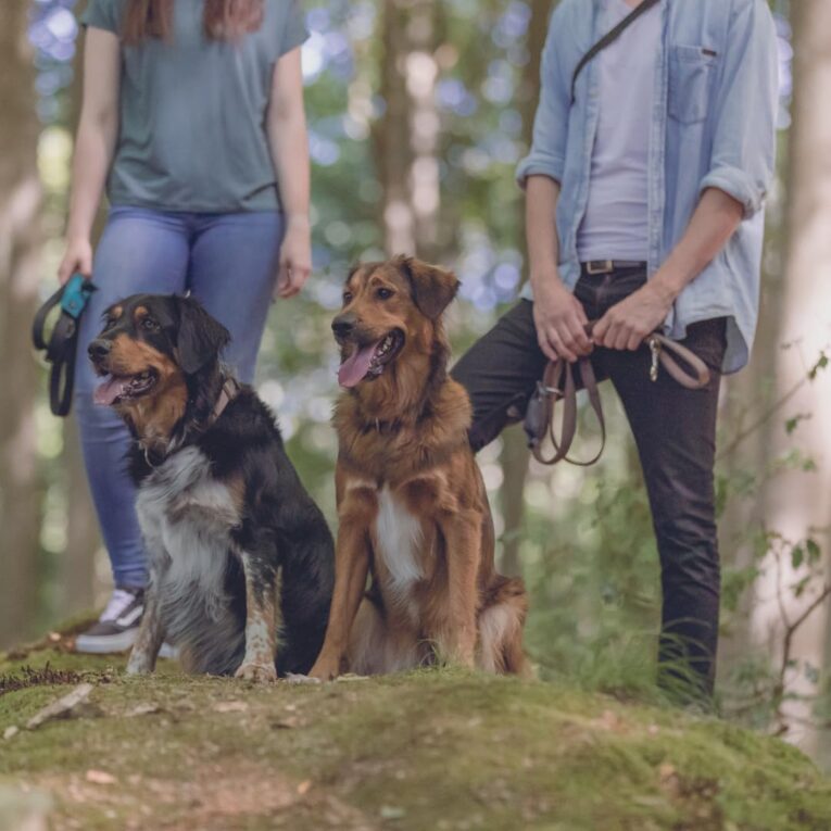 CORREA TRIXIE MANOS LIBRES