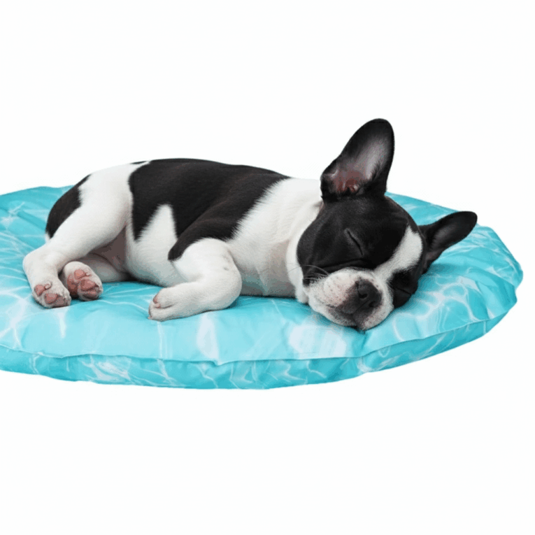 Gemini_Generated_Image_g9am2eg9am2eg9am