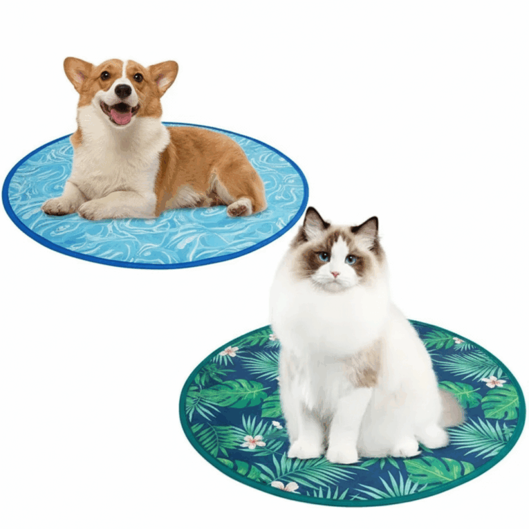 Gemini_Generated_Image_wh0l2ywh0l2ywh0l