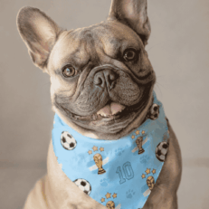 BANDANA GRUNBARK