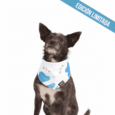 BANDANA HUND