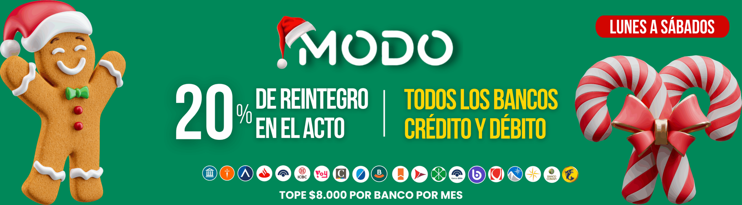 BANNER WEB 2025 (13)