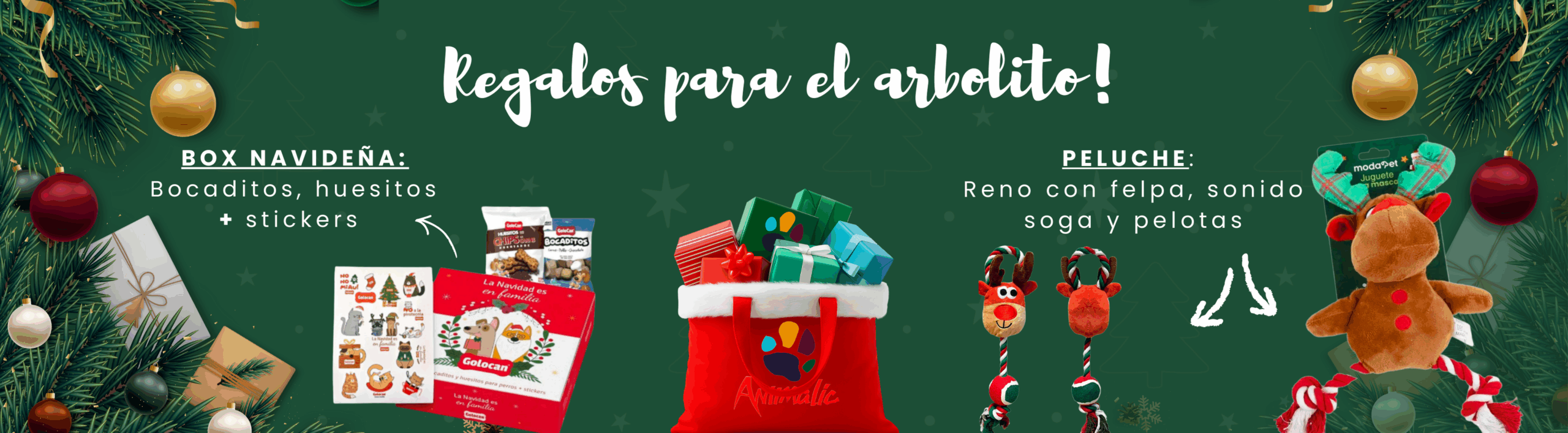 BANNER WEB 2025 (14)