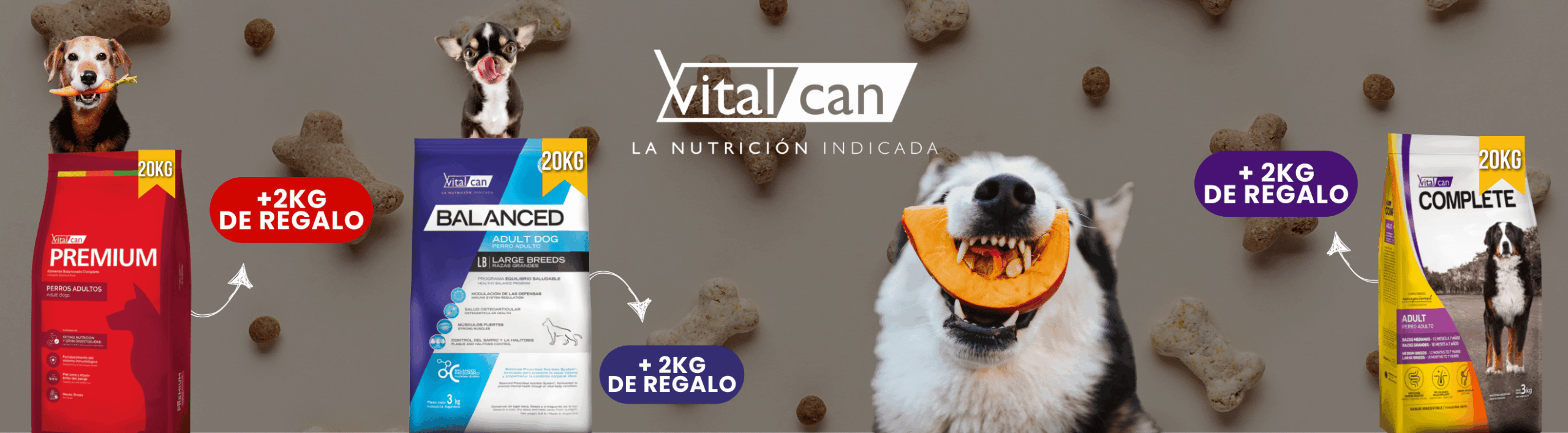 BANNER WEB 2025 (16)