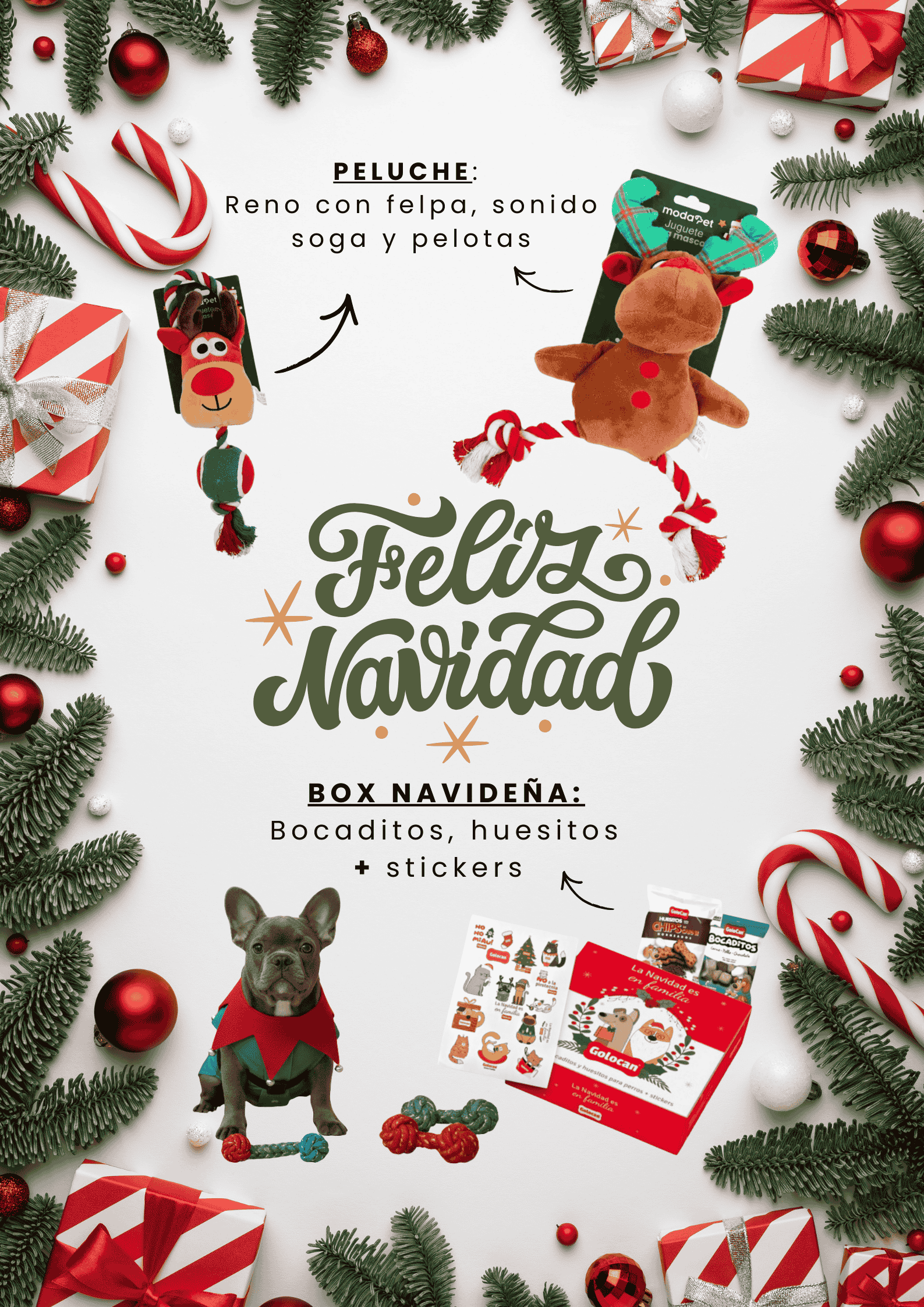 Banner VERTICAL (Web) (6)