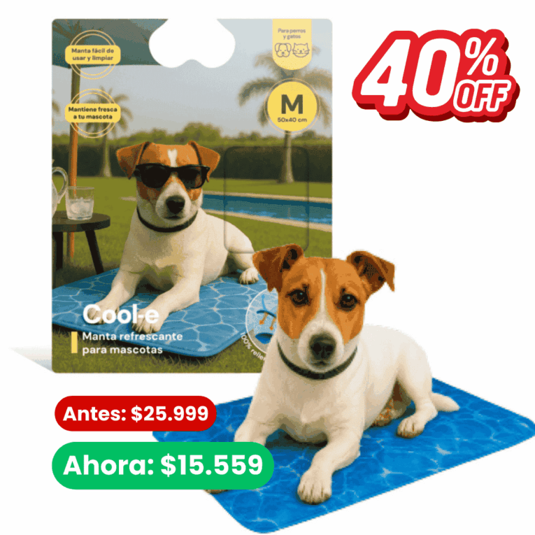 WEB – Productos cargar (2)