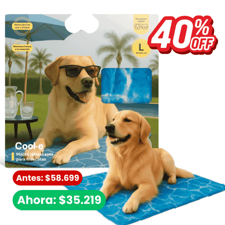 WEB – Productos cargar