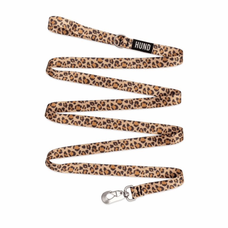 CORREA HUND ANIMAL PRINT