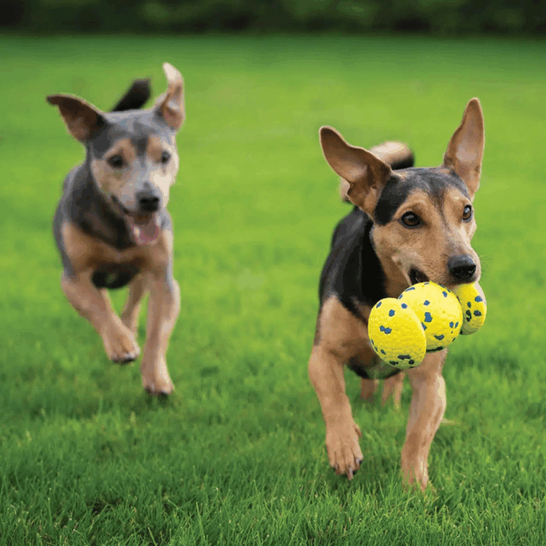 PELOTA DE AGARRE ZEUS NITRO1