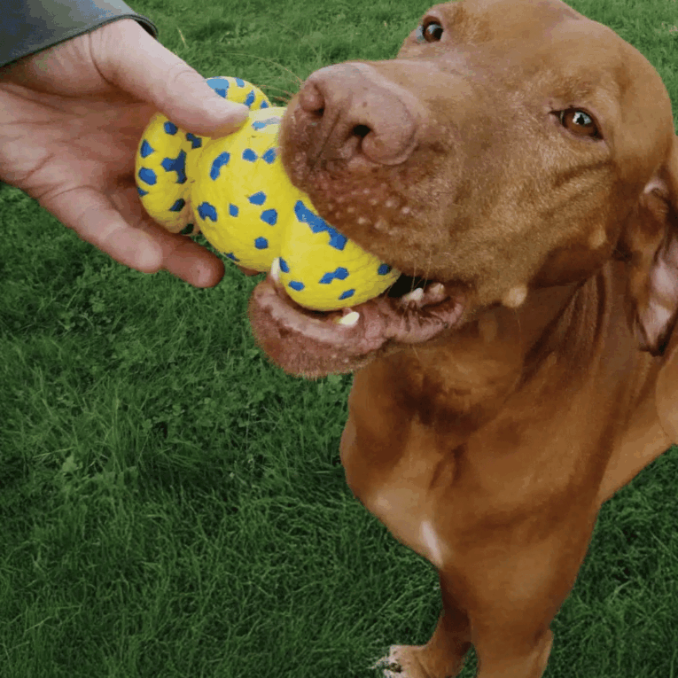 PELOTA DE AGARRE ZEUS NITRO2