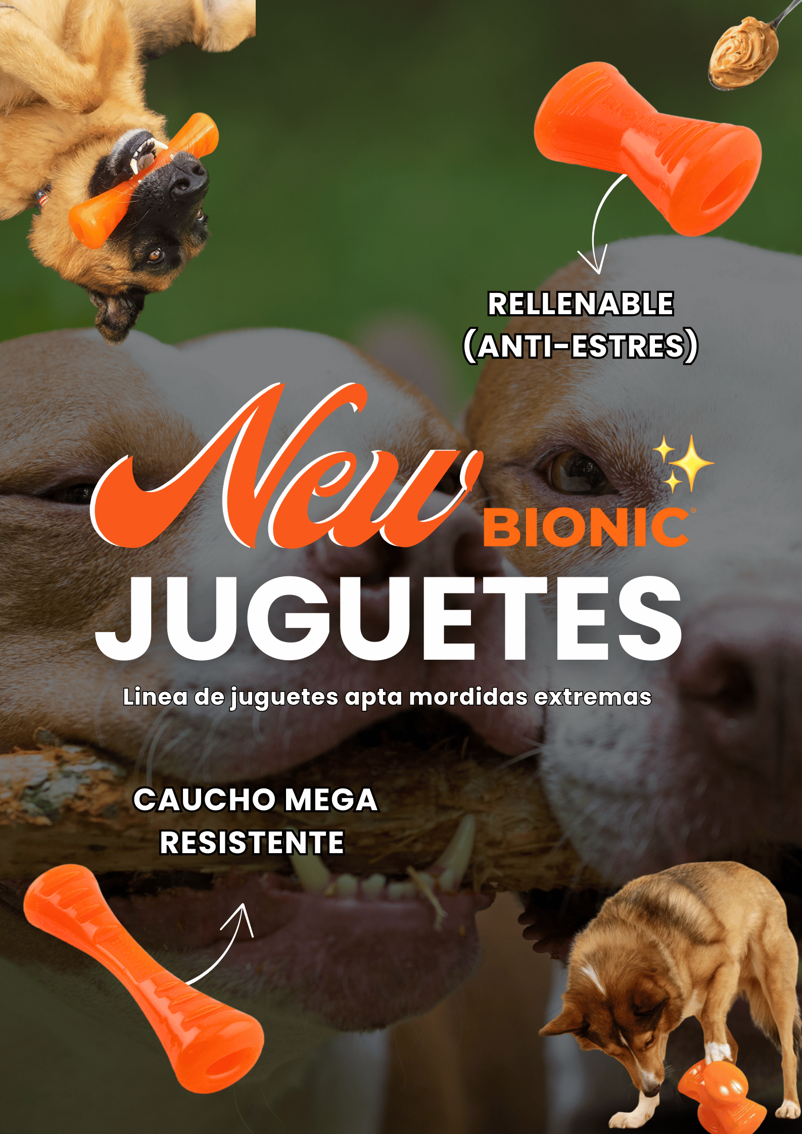 Banner VERTICAL (Web) (7)