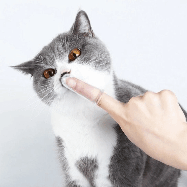 CEPILLO DENTAL DEDAL TRANSPARENTE3