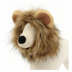 GORRO DE LEON