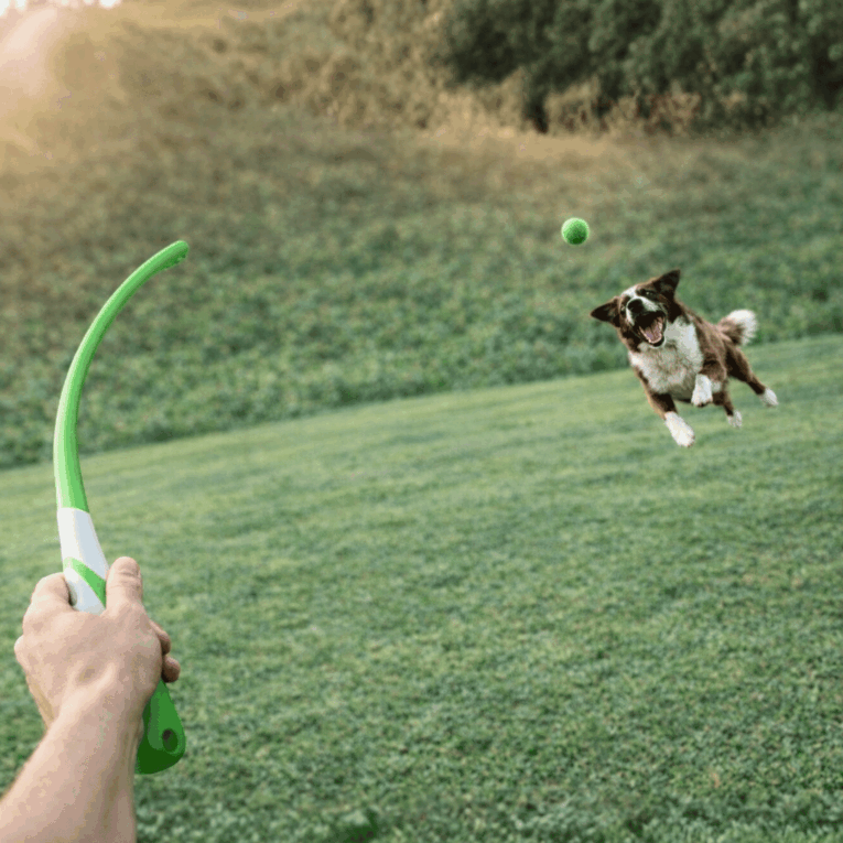 LANZAPELOTAS CANCAT FAST 2