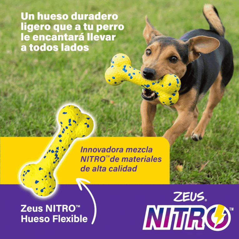 hueso nitro (2)