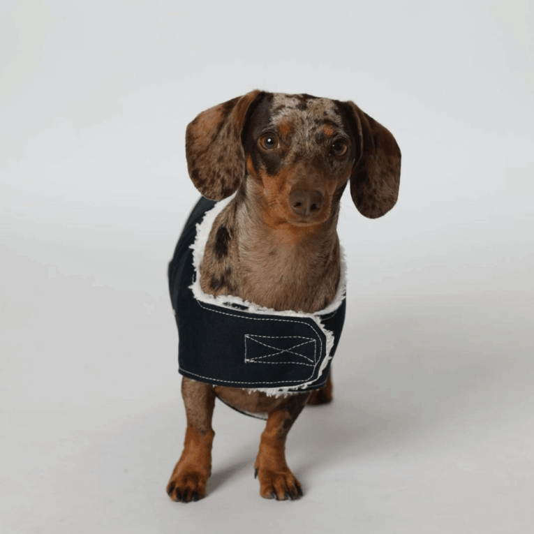 ABRIGO JACOB COCOONING