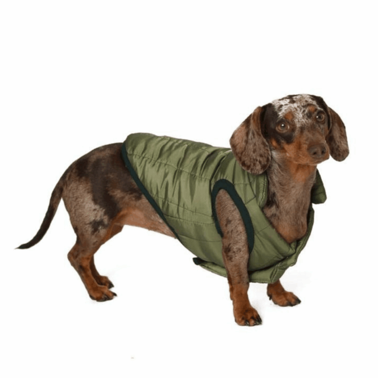 ABRIGO RAPHAEL COCOONING2