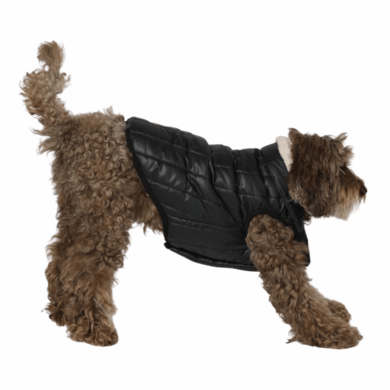 ABRIGO RAPHAEL COCOONING5