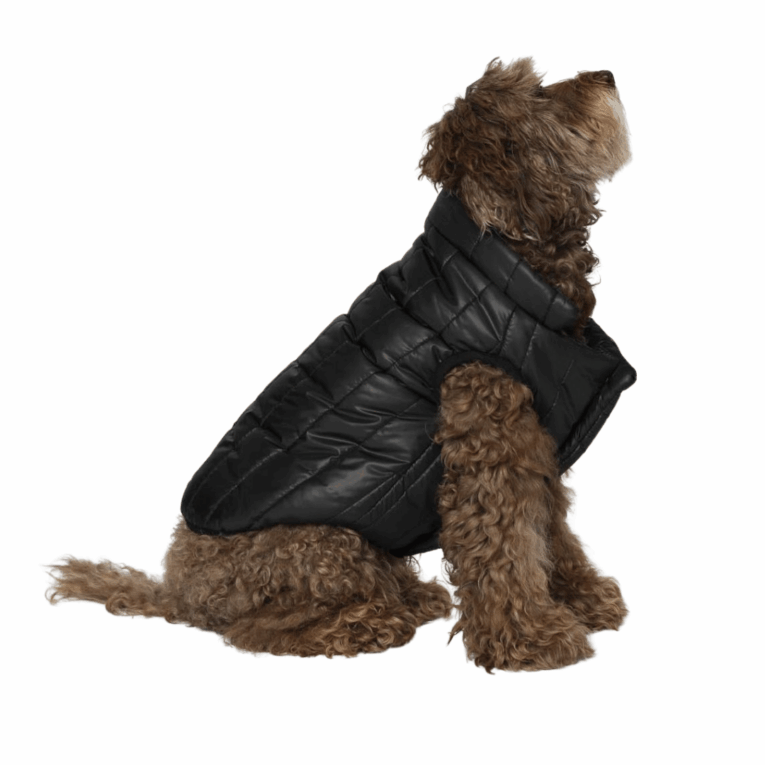 ABRIGO RAPHAEL COCOONING6