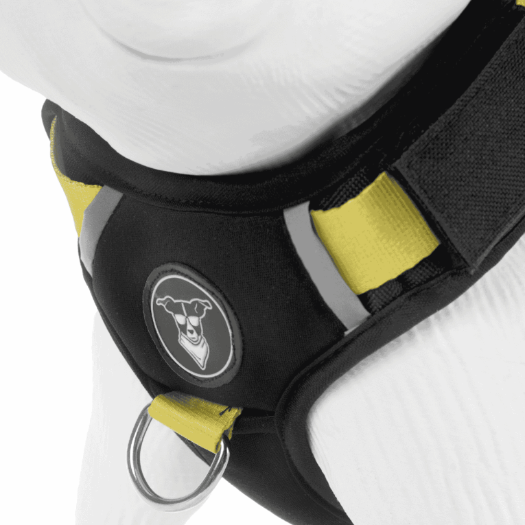 ARNES HUND LIMA PERSONALIZABLE1