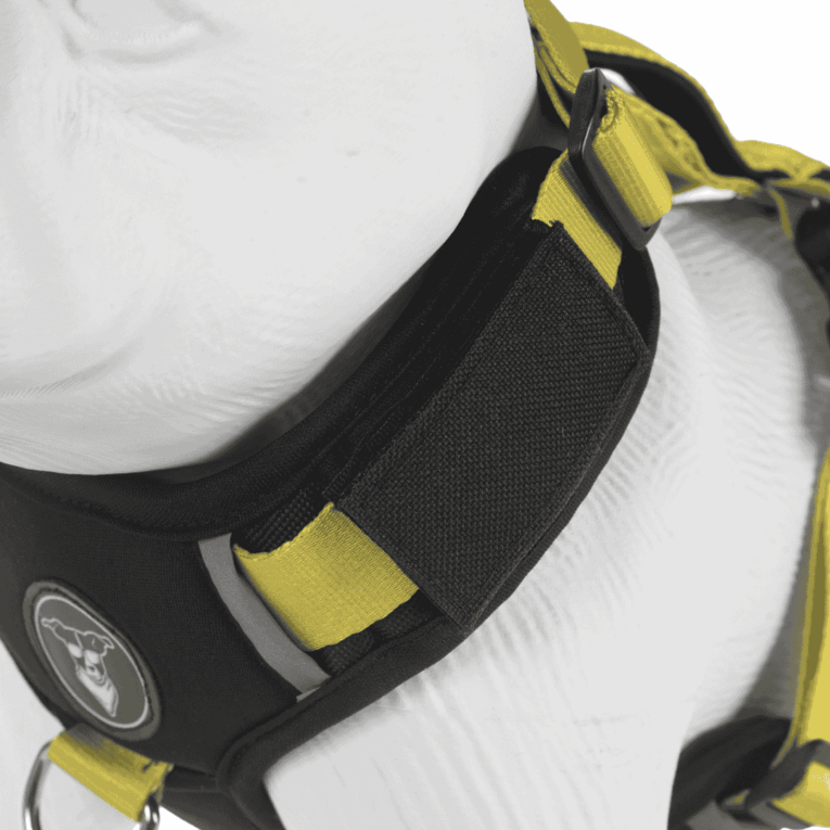 ARNES HUND LIMA PERSONALIZABLE2