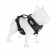 ARNES HUND NEGRO PERSONALIZABLE
