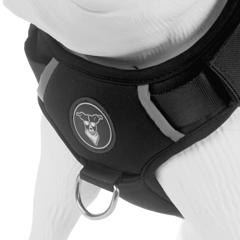 ARNES HUND NEGRO PERSONALIZABLE1