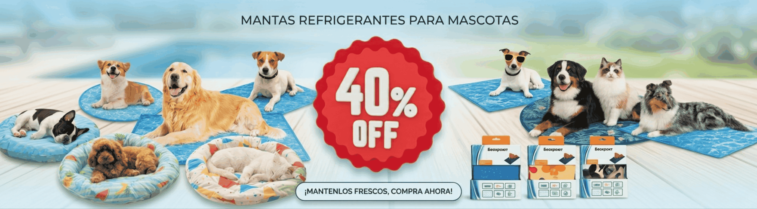 BANNER WEB 2025 (21)