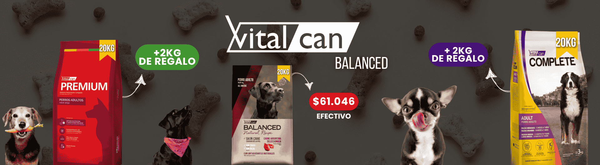 BANNER WEB 2025 (22)