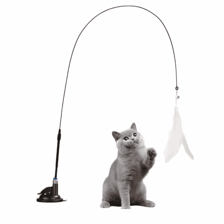 JUGUETE CON PLUMAS Y VENTOSA2