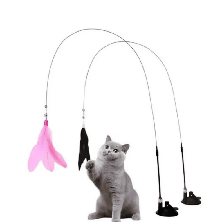 JUGUETE CON PLUMAS Y VENTOSA3