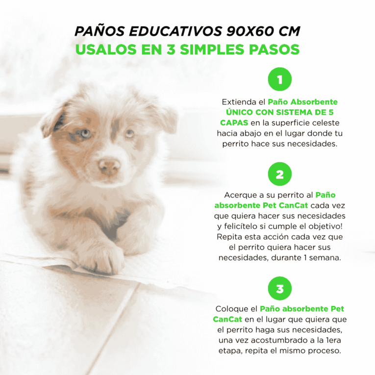 PAÑOS EDUCATIVOS CANCAT X 12 UNIDADES1