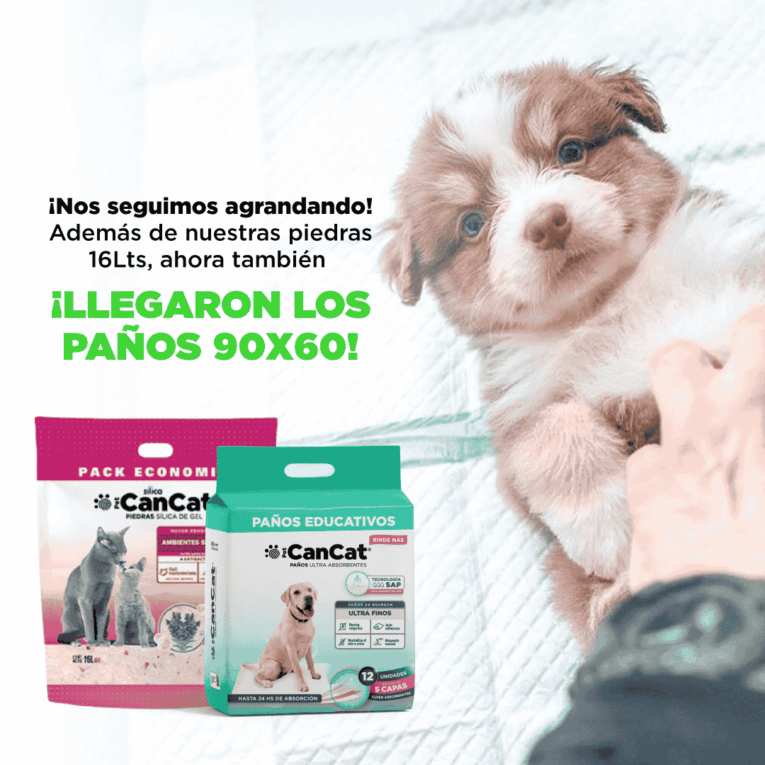 PAÑOS EDUCATIVOS CANCAT X 12 UNIDADES3