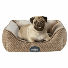 CAMA VINCENT COCOONING