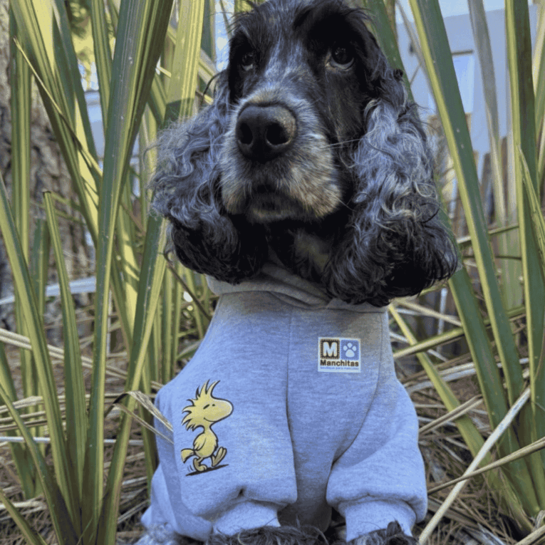 BUZO MANCHITAS SNOOPY CASITA1