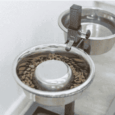 COME LENTO DE ACERO INOXIDABLE TRIXIE